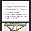 짱언니