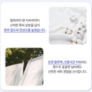 블루향기 | 시그니처 코튼 향기가 기사회생으로 퍼지는 블루 워시 비건 세제 후기