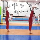 운정 태권도장 이미지