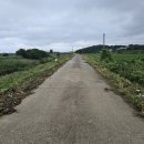 내포4리 이미지