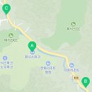 네네치킨봉평점
