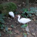 리버퀘스트 이미지