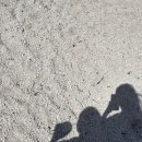 모들공간 이미지