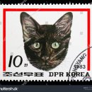 북한 고양이 우표 이미지