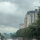 미즈청담 | 강남, 청담 내돈내산 스시오마카세 추천 ‘스시신카이’ 솔직리뷰