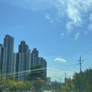 컴인워시장성 | [솔직후기] 스크래치없이 깔끔하게 세차 가능한 &#34;컴인워시 포항장성점&#34;