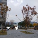 달서어린이도서관 | 남구 대명동 도서관 대구도서관 개관 시립도서관 미군부대 캠프워커 반환부지 방문 후기