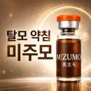 대한비뇨부인과학회 | 4개 학회 연합세미나에 다녀와봤습니다 — 미용약침부터 부인과 추나까지 (feat. 척신추 서포터즈)
