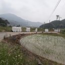 봉황보건진료소 이미지