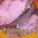 순무의 효능 이미지