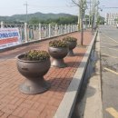 기곡2리 네이버블로그