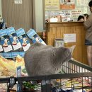 보라종합동물병원 이미지