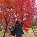 백제군사박물관 | [국내_충남 논산] 백제군사박물관