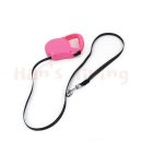 한스애견 이미지