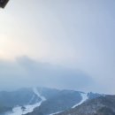 가족호텔 백합동 | 무주 덕유산 리조트 가족호텔 백합동 숙박