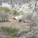 보금자리노인전문요양원 이미지