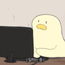대빈 이미지