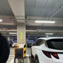 트레이더스홀세일클럽월계점 | 월계역 이마트 트레이더스 홀세일 클럽 월계점 푸드코트 메뉴 추천 음료 불고기피자 떡볶이 후기