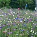 자연햇빛촌 이미지