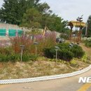 신산삼거리 이미지