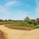 순기농장 이미지