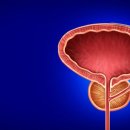 가양동물의료센터 이미지