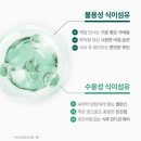 유정 | [네이버 넾다세일] 채소 부족한 직장인 건강 루틴, 하루 2알 스톰 식이섬유정 후기