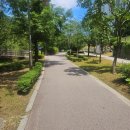 일신아파트 버스정류장 옆 이미지