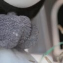 시골소풍 이미지