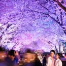 김유신장군로 이미지