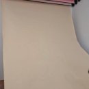 비전동 소로 3-32 | [평택] 정원셀프사진관에서 찍은 만삭사진. 너무 만족!! (내돈내산 후기)