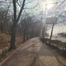 인천성심농원