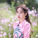 홍수아 카카오 검색결과