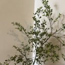 알리스테이 | [부산/광안리] 아름다웠던 광안대교숙소 알리스테이 402호 후기