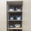252MUE51 조영인 이미지