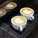 바리스타 이미지