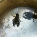 사정1리 이미지