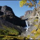 천지배농장 이미지