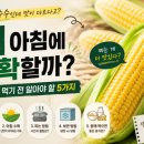 웰디렉터