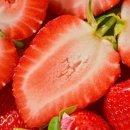 딸기야 이미지