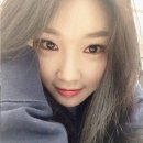 술시 Daum카페
