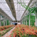 288-3-000001 | 아산가볼만한곳, 아산세계꽃식물원, 아산스파비스, 신정식당, 까페밀마로