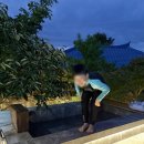 THE제주 1033 이미지