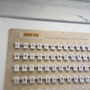 경의 | 홍대 애견카페 포인핸드 경의숲점 솔직후기