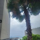 신대부동산중개사무소 이미지