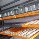 차근 차근 옷 만들기 이미지