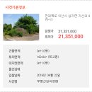 팔봉동-04 이미지