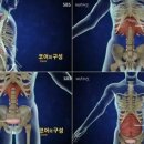 엔비코어 이미지