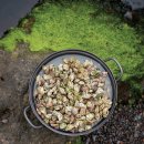 바다의 만찬 이미지