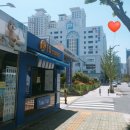폴리파크 연산점 | 연산동 폴리파크 구매 후기 - 반려동물 강아지 고양이 용품